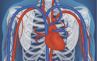 Cut in stent prices to hit biz environment, says association